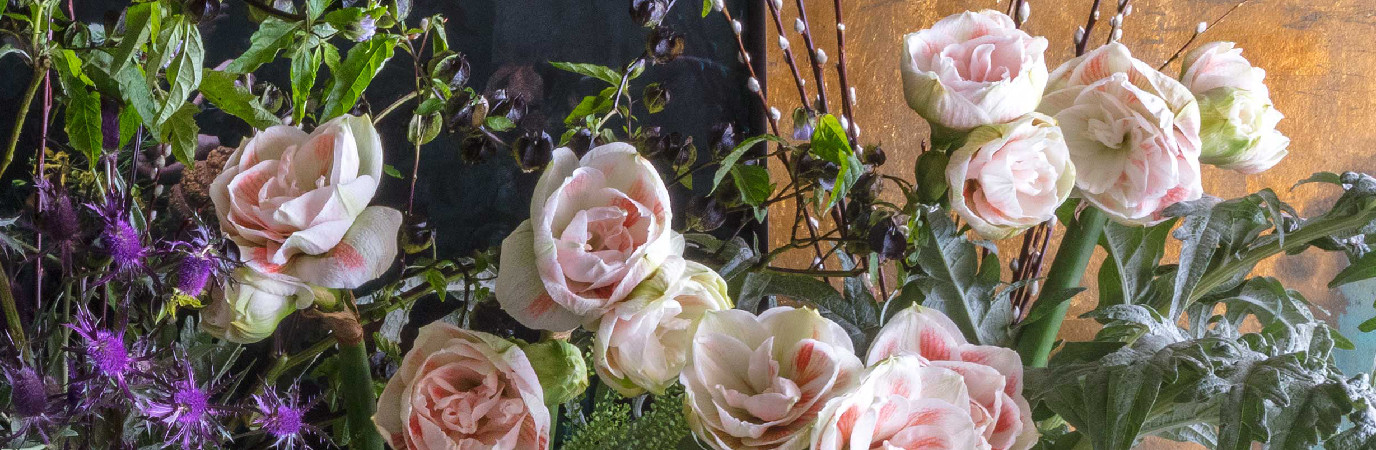 Gros plan d’un bouquet roses bicolores rose et blanche réalisé par Stéphane Chapelle et Luc Deperrois.