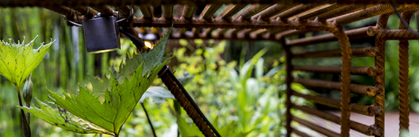 Un spot orienté idéalement, conduit le regard vers la diversité des feuillages du jardin.