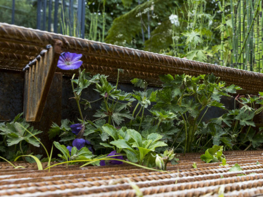 Les fleurs de géranium vivace prennent place au-dessous des passerelles ajourées.