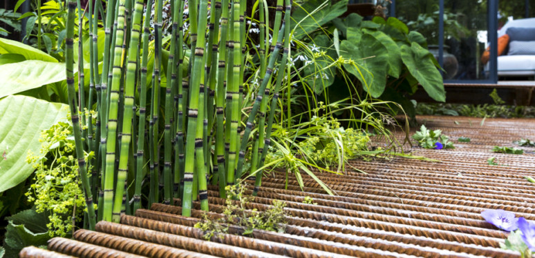 Gros plan sur une passerelle ajourée. Des bambous passent à travers les tiges de fer.
