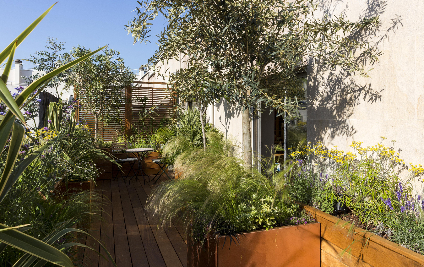 Large vue de la terrasse bien ensoleillée avec les bacs en bois exotique réalisés sur mesure par le paysagiste Alexandre Duval. 