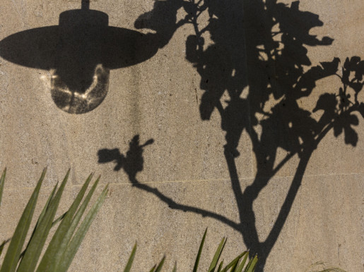 L'ombre d'un Olivier se projette grâce au soleil sur l'un des murs de la terrasse.