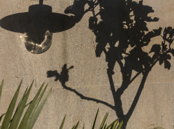 L'ombre d'un Olivier se projette grâce au soleil sur l'un des murs de la terrasse.