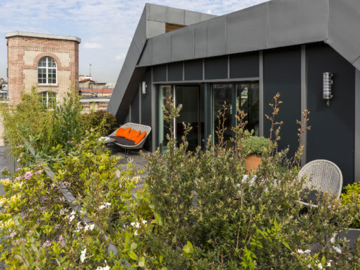 Vue de la terrasse supérieur avec en premier plan un arbre à thé 