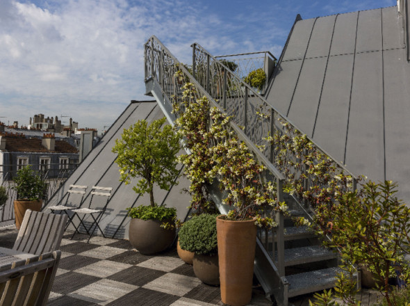 Escalier menant à la terrasse en bois, du premier niveau, orné de jasmin blanc, d'une véronique, d'un calamondin et un pachysandre.