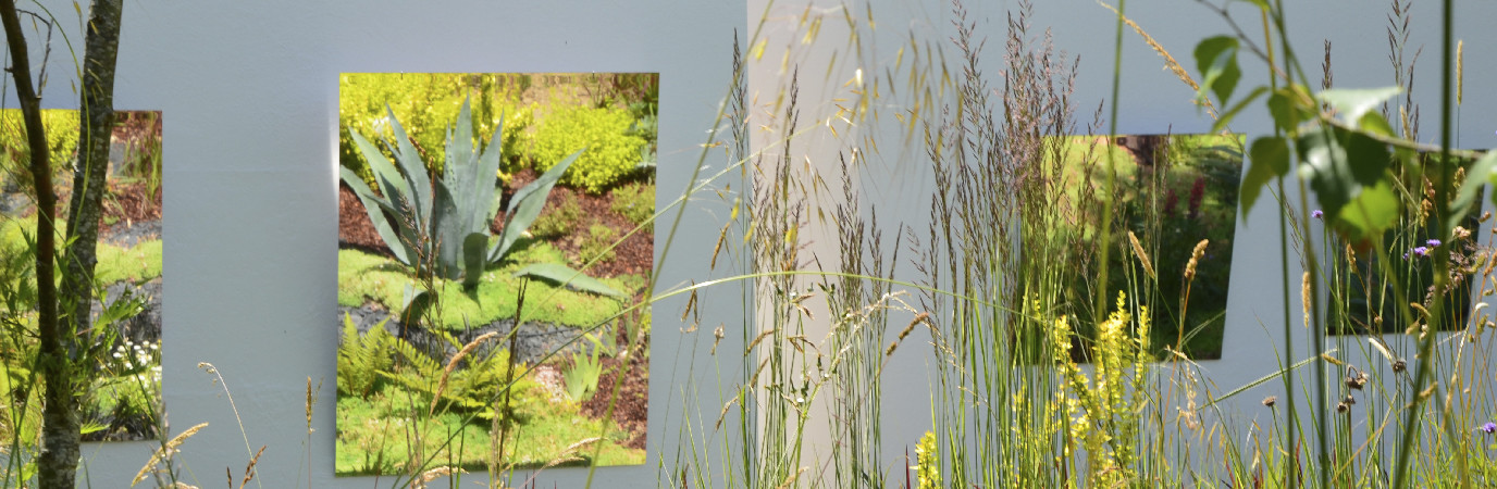 Vue du jardin de Solène Ortoli primé au Festival de Chaumont.