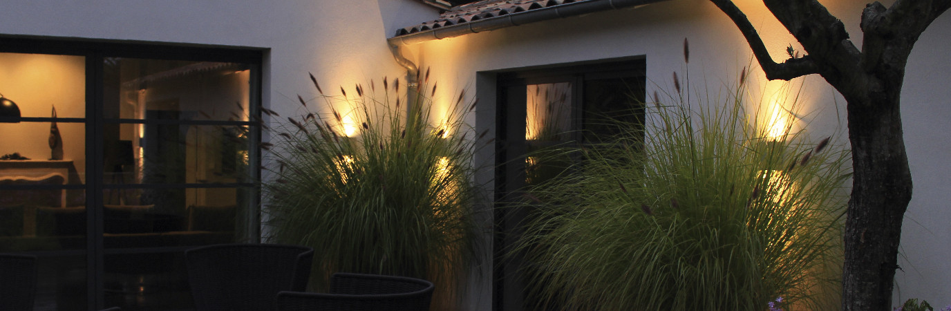 Sur L'Île de Ré, éclairage de graminées qui se découpent en ombres chinoises.