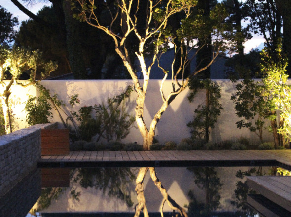 L'arbousier (Arbutus undeo) éclairé se reflète dans la piscine, plongée dans l'ombre pour faire ressortir l'effet de miroir.