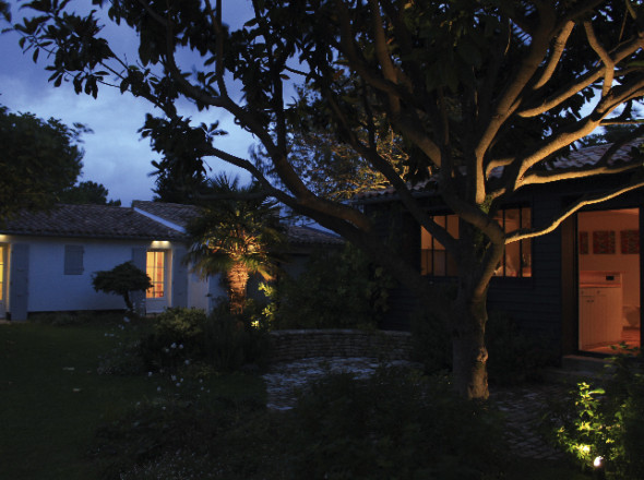 Le magnolia est éclairé, des zones sombres sont conservées pour donner du relief.