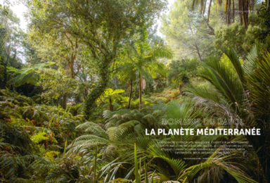 Garden Lab le numéro 6