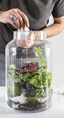 Création d'un terrarium dans un bocal de verre