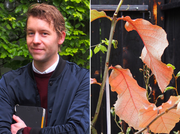 Festival des jardins 2019 de Chaumont sur Loire.