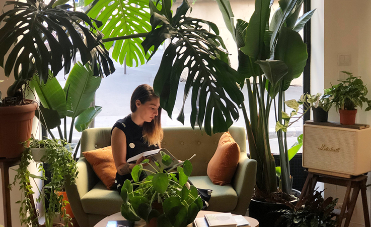 Concours Green boutique