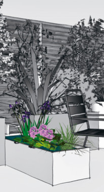 Mini jardin d'eau bac terrasse conception paysagé Garden_Lab