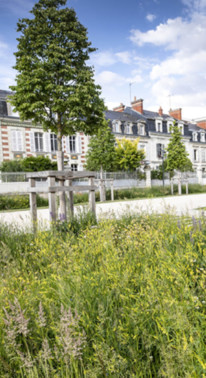 Ville d'Angers élu ville verte 2020