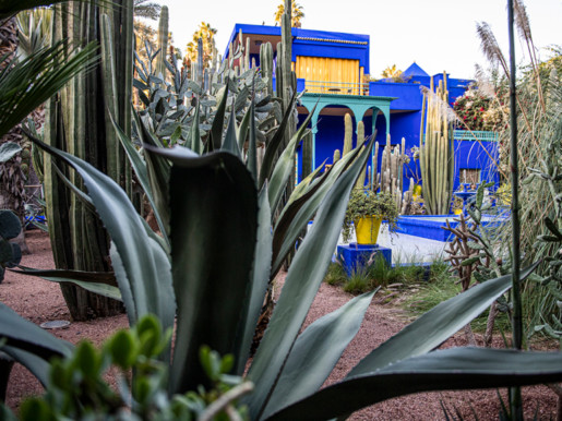 Jardin Majorelle, Marrakech