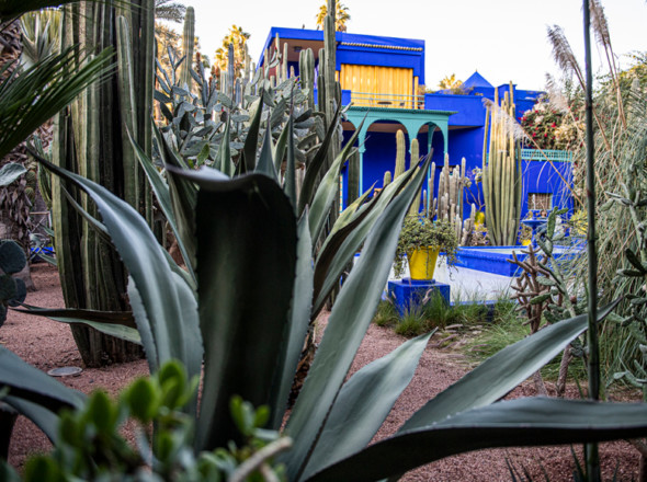 Jardin Majorelle, Marrakech