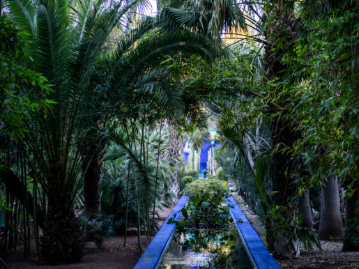 Jardin Majorelle, Marrakech