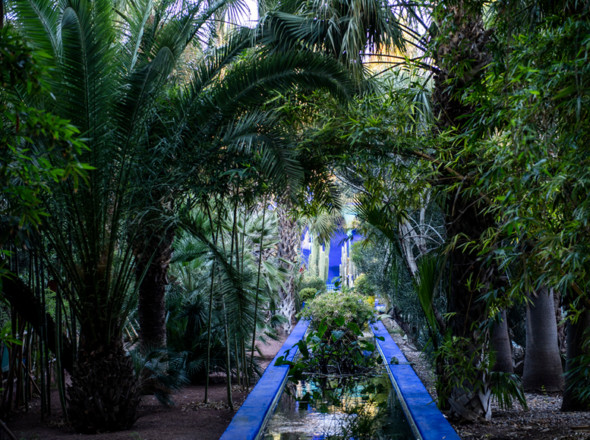 Jardin Majorelle, Marrakech