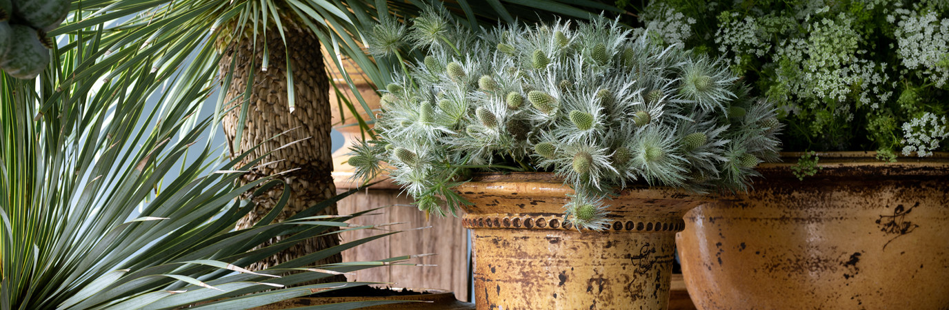 Soirée de lancement, revue Garden_Lab#10, à la boutique atelier Stéphane Chapelle, boulevard Raspail, Paris.