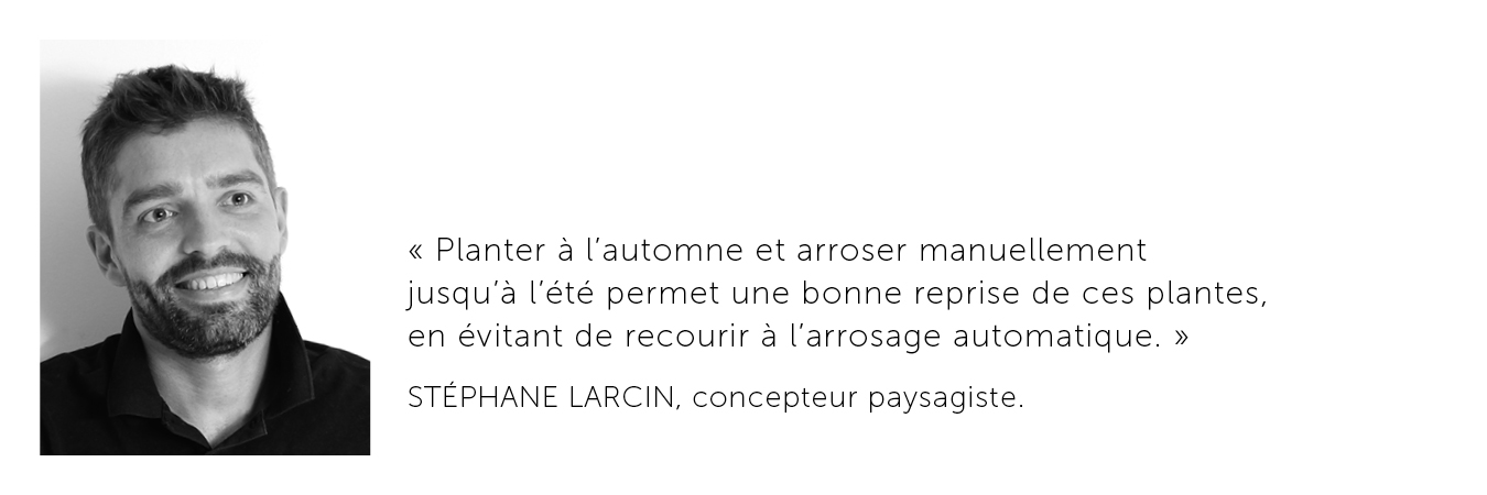 Stéphane Larcin, concepteur paysagiste. Garden_Lab n°10
