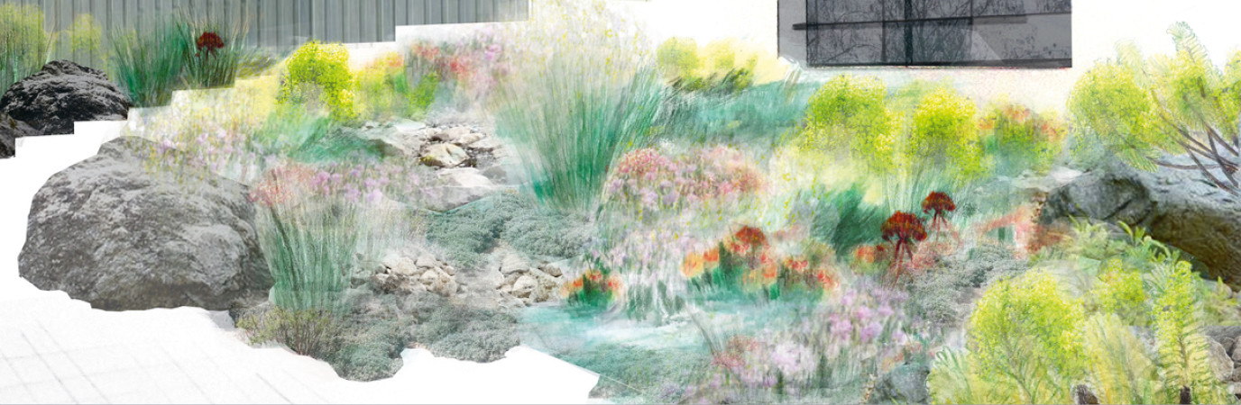 Conception d'un jardin inspiration garrigue, par Solène Ortoli. Garden_Lab n°10
