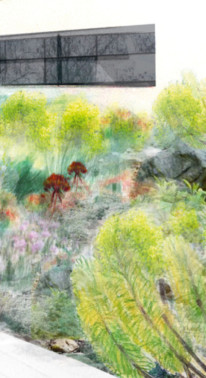 Conception d'un jardin inspiration garrigue, par Solène Ortoli. Garden_Lab n°10