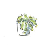 Euphorbia myrsinites, DIY, garden fab.fr