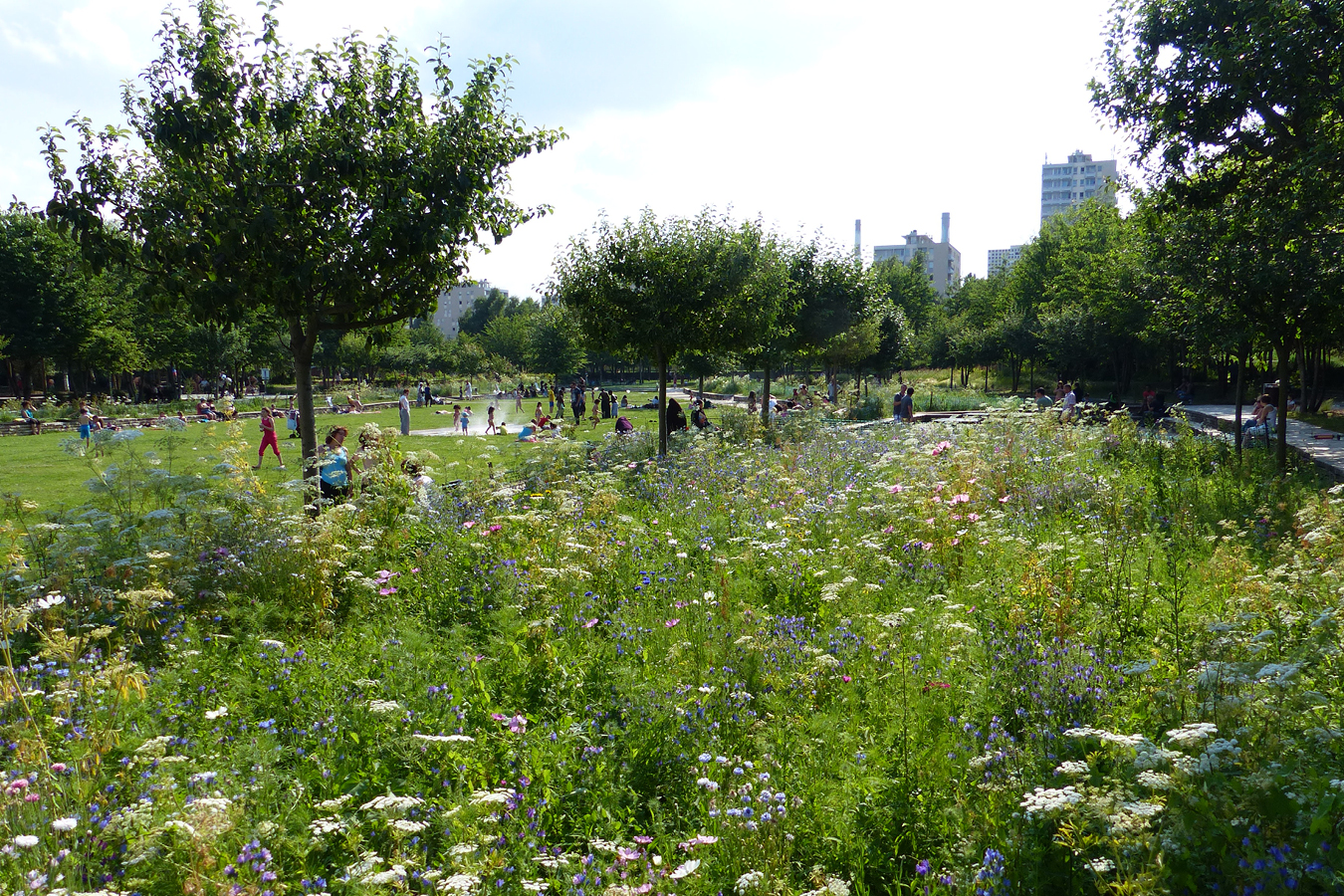 Abres, villes, urbanisme, planète, climat. Gardenfab.fr
