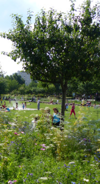 Abres, villes, urbanisme, planète, climat. Gardenfab.fr