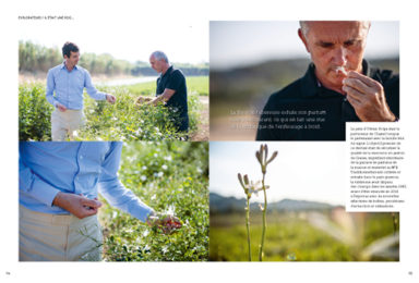 Page intérieur revue Garden_Lab n°11, Paysages Olfactifs