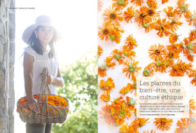 Page intérieur revue Garden_Lab n°11, Paysages Olfactifs