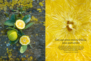 Page intérieur revue Garden_Lab n°11, Paysages Olfactifs