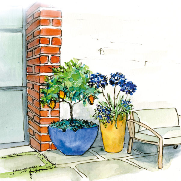 DIY COULEUR AZUR ET AGRUMES EN POT