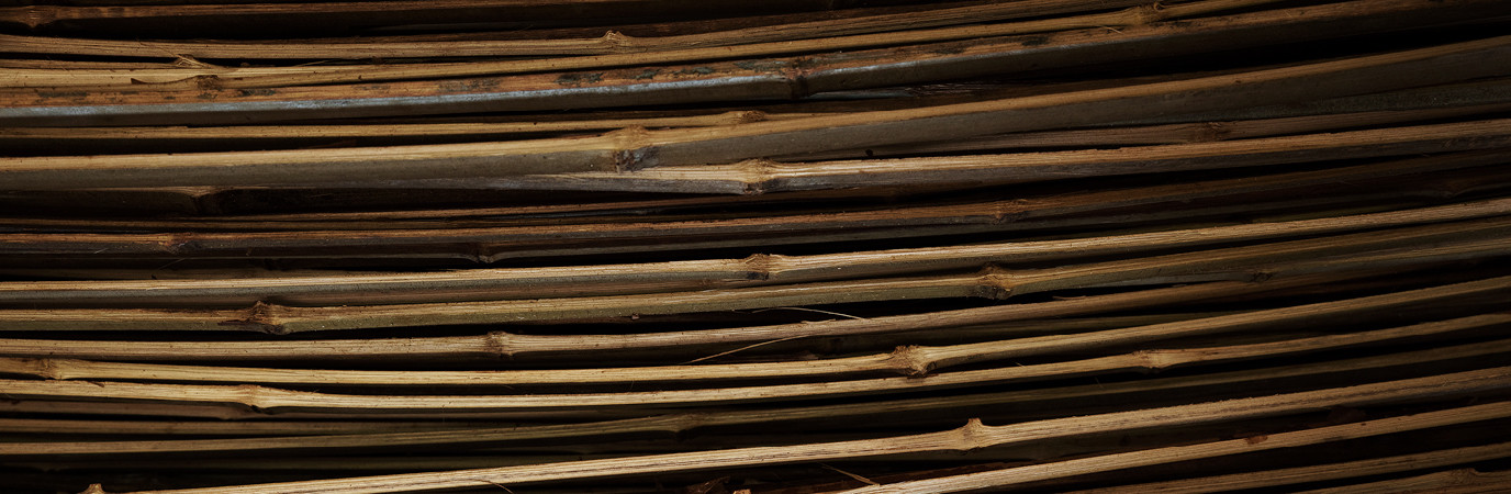 Jardin, Ce que l'on voit, ce que l'on sait, Festival des jardins de Chaumont-sur-Loire. Parrainé par la revue Garden_Lab