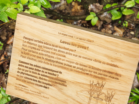 Jardin, Ce que l'on voit, ce que l'on sait, Festival des jardins de Chaumont-sur-Loire. Parrainé par la revue Garden_Lab