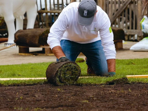 Gazon Résistant au stress hydrique et aux attaques de pathogènes. Premier Tech. Top Pouss GAZON