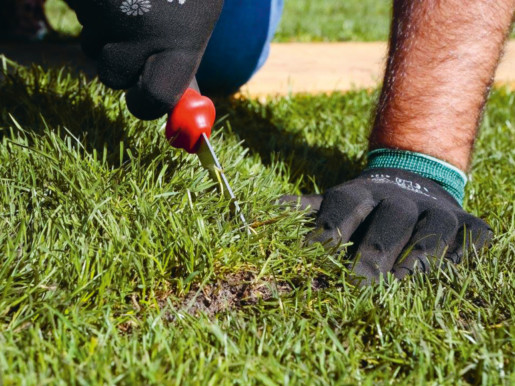 Gazon Résistant au stress hydrique et aux attaques de pathogènes. Premier Tech. Top Pouss GAZON