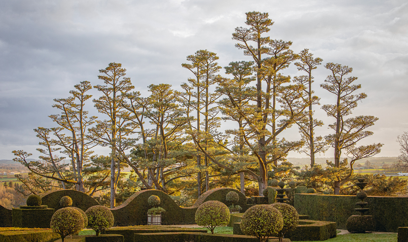 La Ballue : sculptures végétales en plein ciel. Garden_Lab#12 - Architecture & jardins.