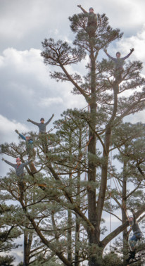 La Ballue : sculptures végétales en plein ciel. Garden_Lab#12 - Architecture & jardins.