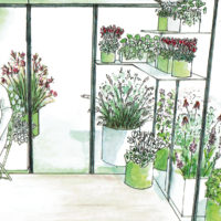 DIY Dedans-dehors végétal et automnale.