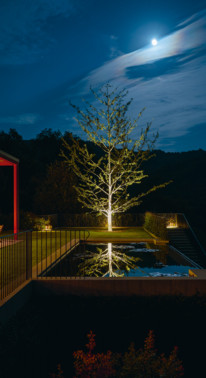 Saisir le génie d'un lieu, Fernando Caruncho, paysagiste concepteur et philosophe. A lire dans Garden_Lab #12 - Architecture & jardins.