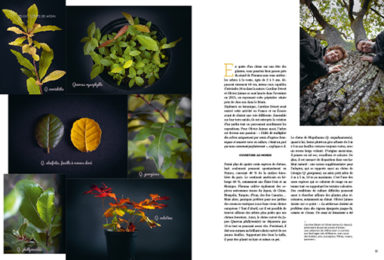 Revue Garden_Lab numéro 13 Des arbres et des hommes.pages intérieure