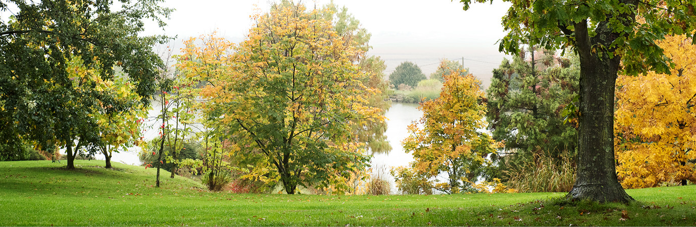 Garden_Lab#09 Être botaniste. La folie des arbres aux jardin du Bois marquis.