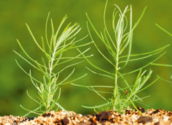 Premier Tech Orticulture