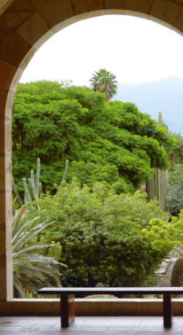 OAXACA : UN PAYSAGE BOTANIQUE AU MEXIQUE. Garden_Lab#10