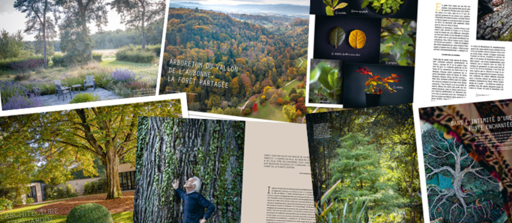 Garden_Lab#13, Des arbres & des hommes.