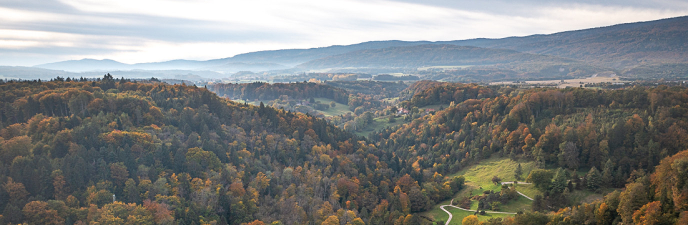 Garden_Lab#13, Des arbres & des hommes. Arboretum du Vallon de l'Aubonne, en Suisse.