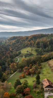 Garden_Lab#13, Des arbres & des hommes. Arboretum du Vallon de l'Aubonne, en Suisse.