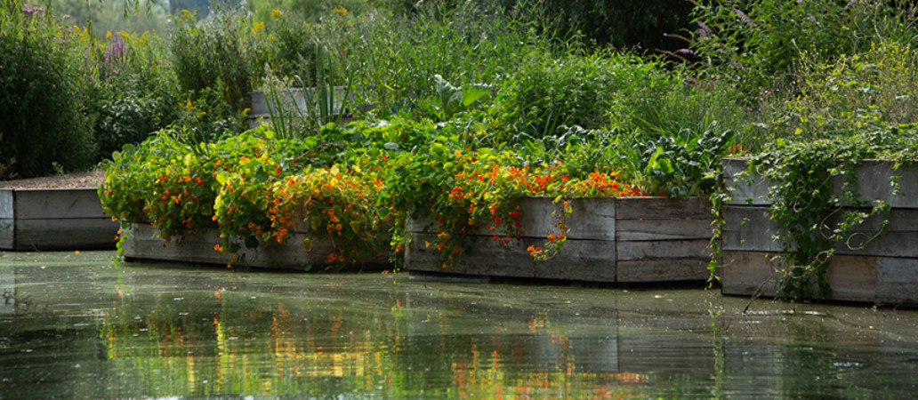 Le potager embarqué, Hortillonnages d'Amiens.